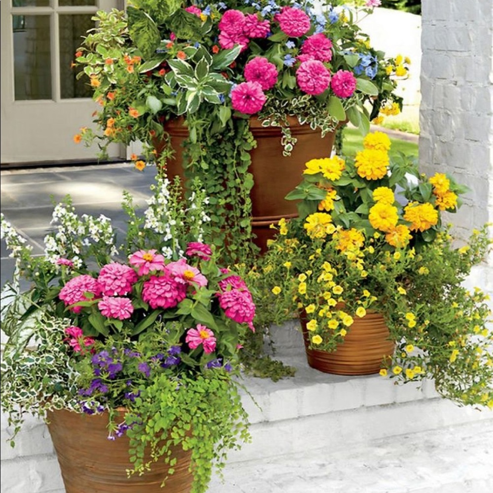 Meet your Posher, Trisha